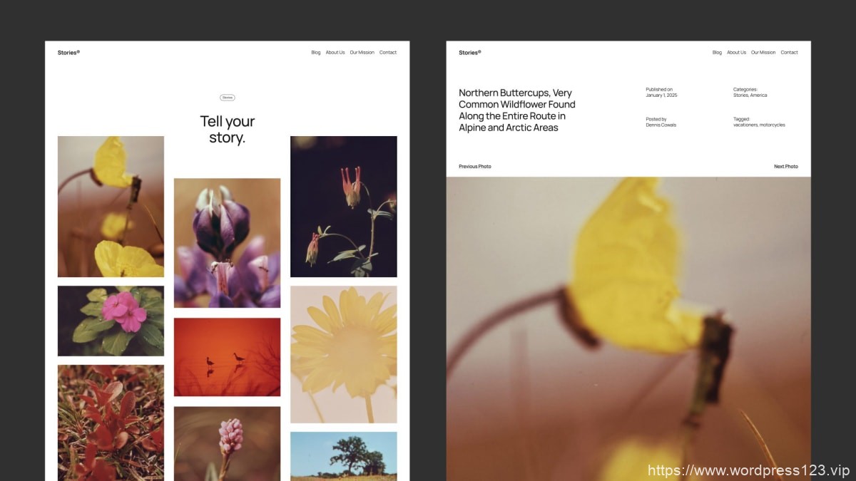 WordPress 6.7 新主题 Twenty Twenty-F​​ive 预览                                                                                                           WordPress资讯                                                                                      24年8月16日                                                                                                                                                                                                            编辑                                                                                                                                                                                                                                    网站编辑                                                                                                                 取消关注                                 关注                                 私信